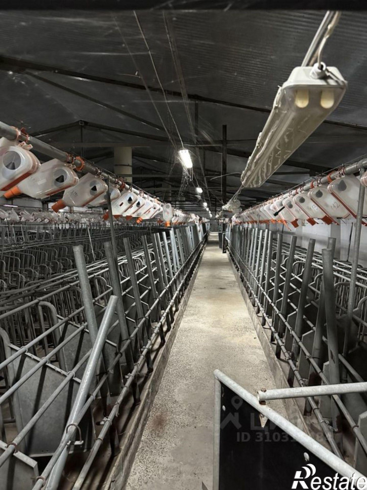 Производственное помещение 03Н-433