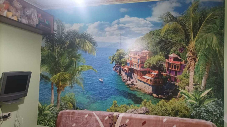 2-комн квартира Владимирская улица, 110к8