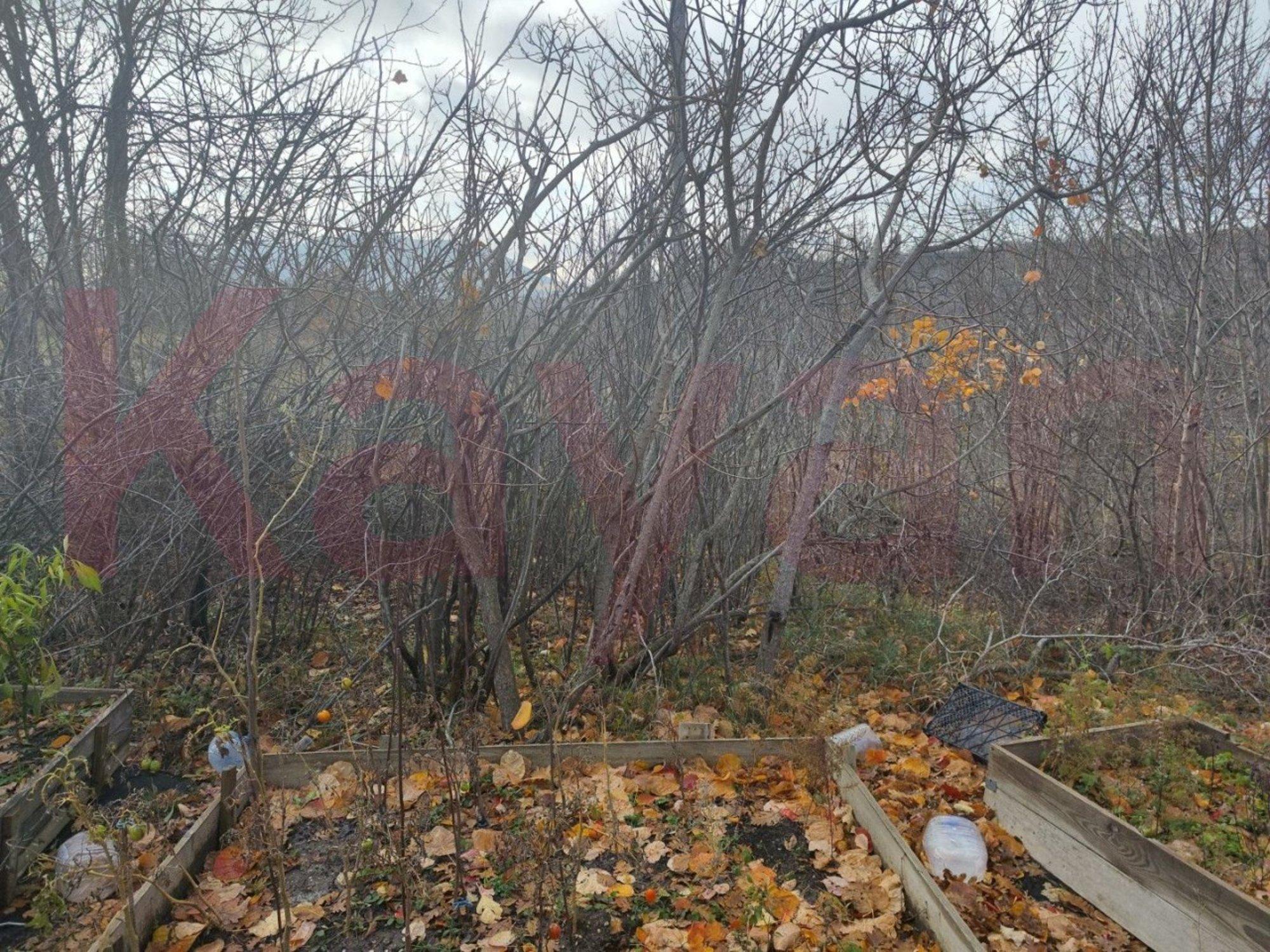 Купить землю, земельный участок за 4 200 000 рублей на Южный