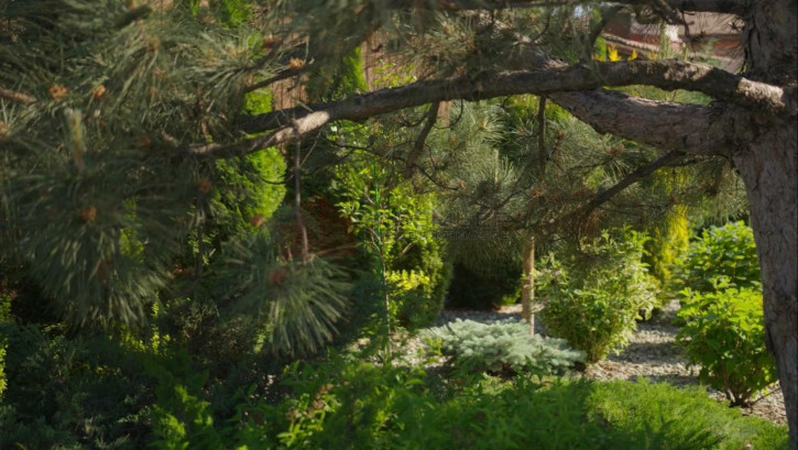 Коттедж/дом им комиссара Маркина улица