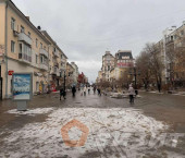 земля 8 сот Чапаевская улица, 100