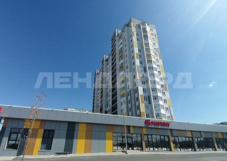 Студия улица Ткачёва, 38с1