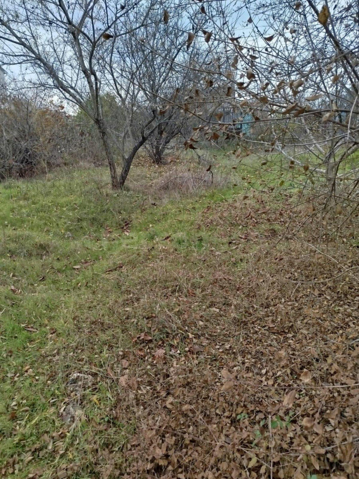 Земельный участок территория СТ Торпеда Земельный участок территория СТ Торпеда