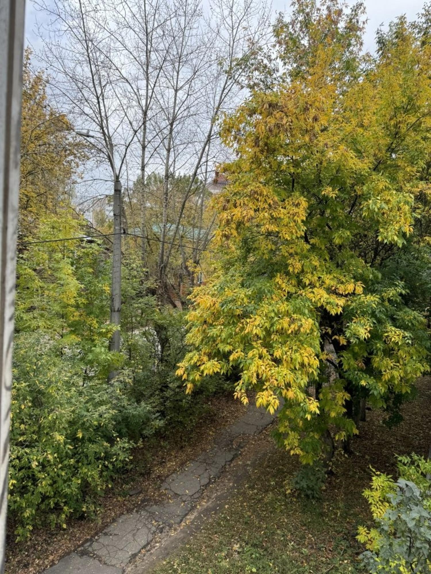 Купить квартиру за 3 800 000 рублей на Сосновая ул, 9А