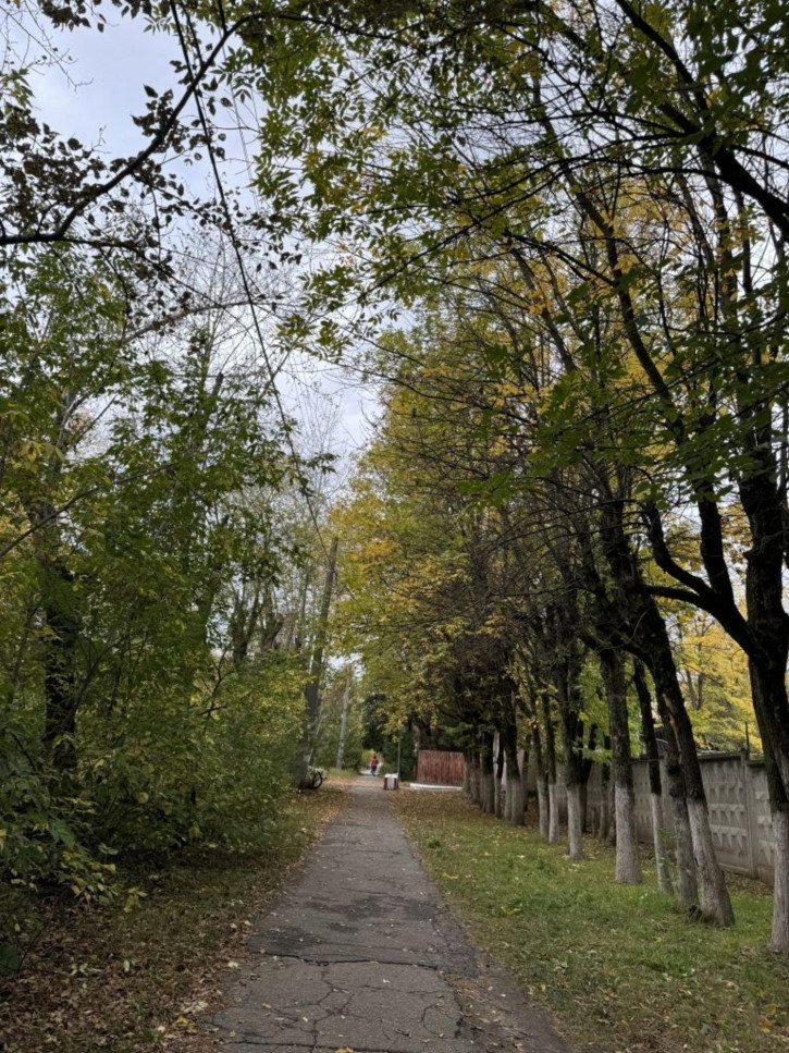 2-комн квартира Сосновая ул, 9А