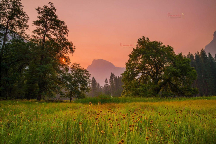 Земельный участок Лесная 1 Земельный участок Лесная 1
