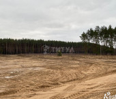 земля 54 сот Детчино Село