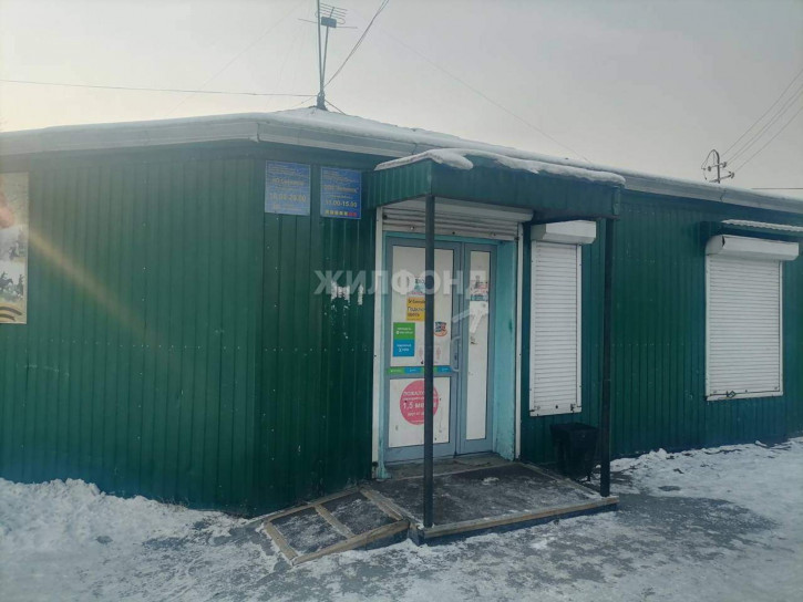 Коттедж/дом Интернациональная улица