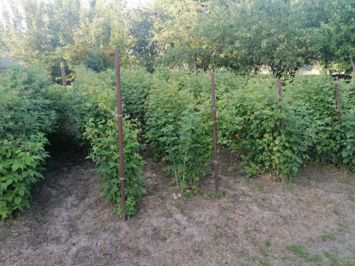 Коттедж/дом Октябрьская ул, 50 Коттедж/дом Октябрьская ул, 50