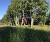 земля 10 сот с. Левашово
