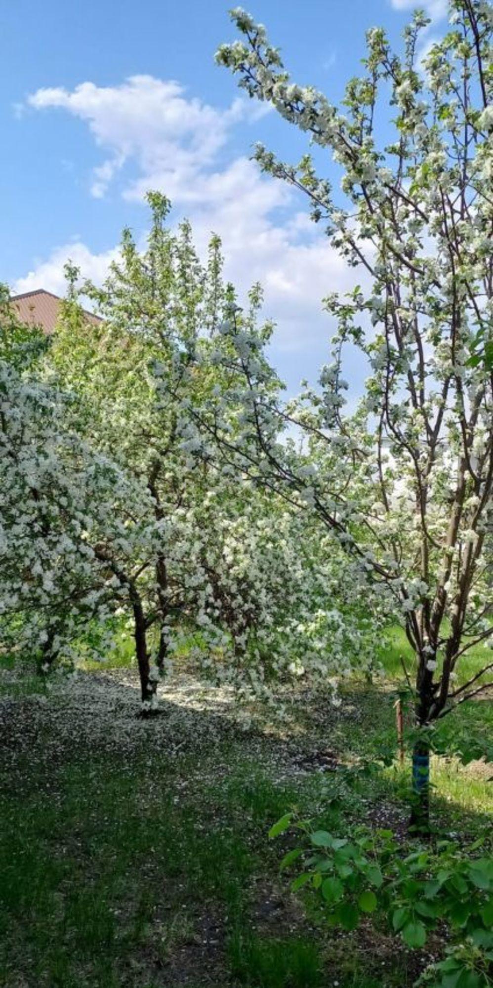 Купить дачу, дом, коттедж за 8 500 000 рублей на Усадебная улица