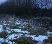 земля 10 сот посёлок Лесково, 1248