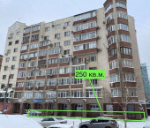помещение 250 кв м Пушкина улица, 268 помещение 250 кв м Пушкина улица, 268