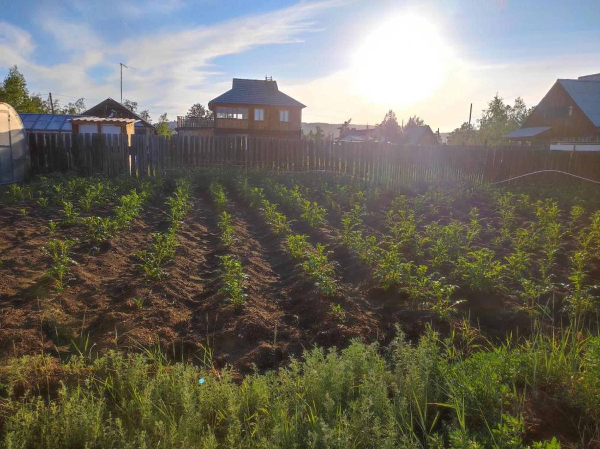 Купить дачу, дом, коттедж за 6 850 000 рублей на Росинка, 32