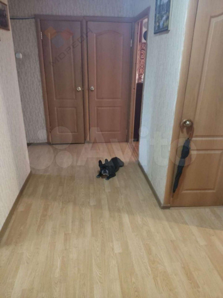 3-комн квартира Ставского ул, 51