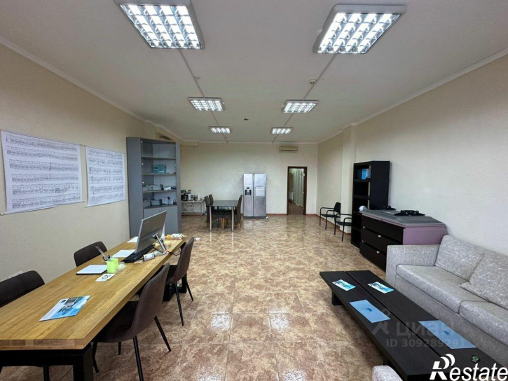 Офис наб им А.С.Пушкина, 17Б,  д. 17Б