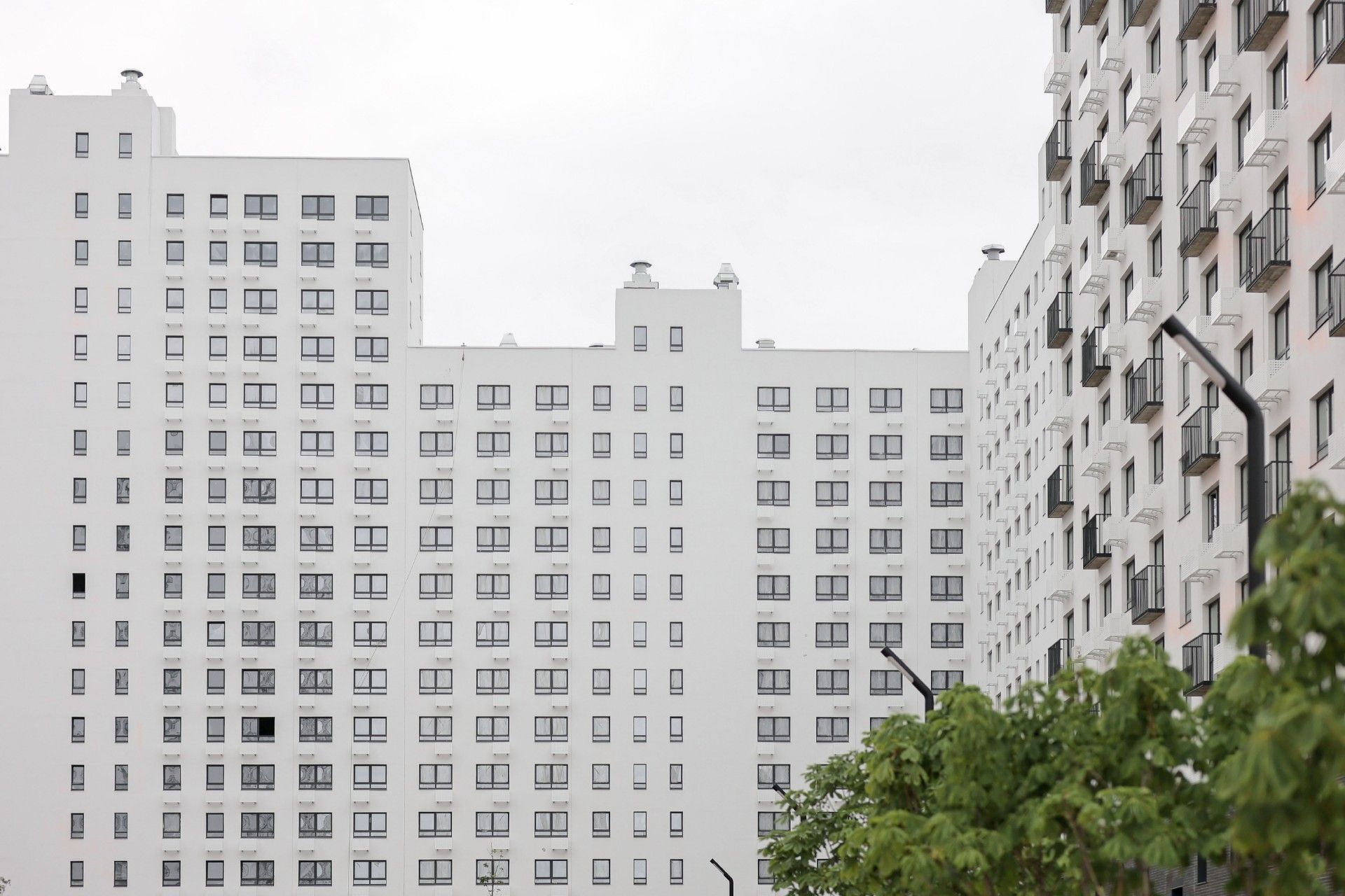 Лугометрия