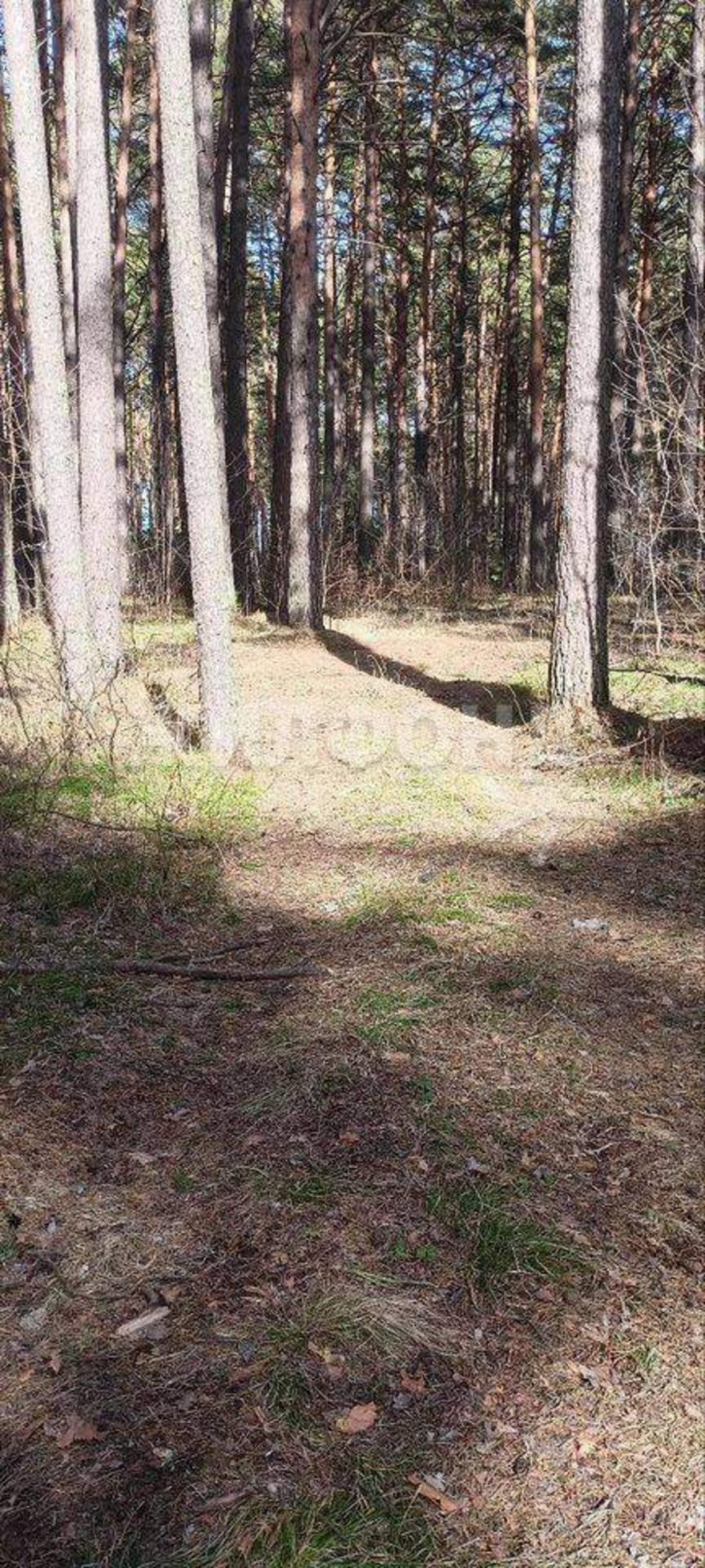 1-комн квартира Путевая улица, д.1а 1-комн квартира Путевая улица, д.1а