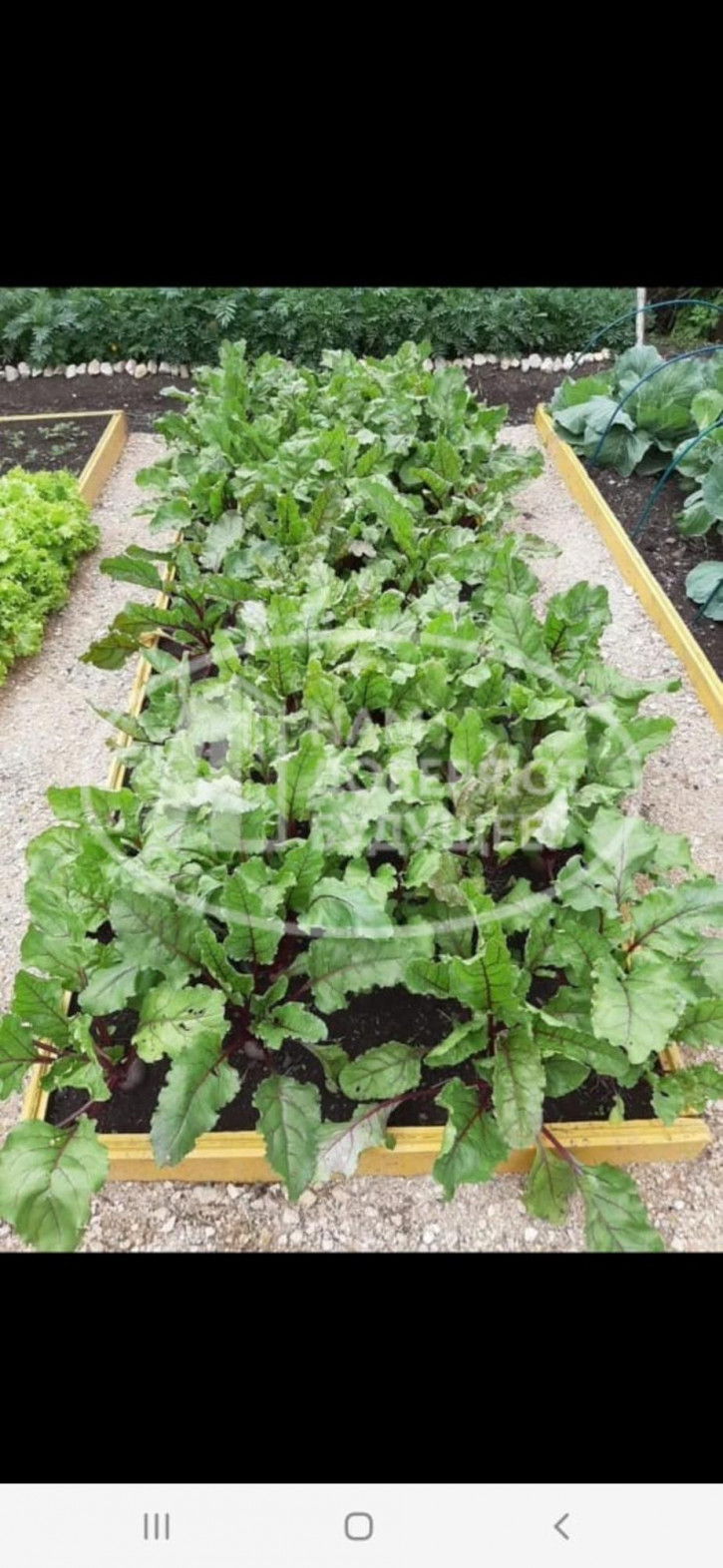 Земельный участок улица Балашова, 88