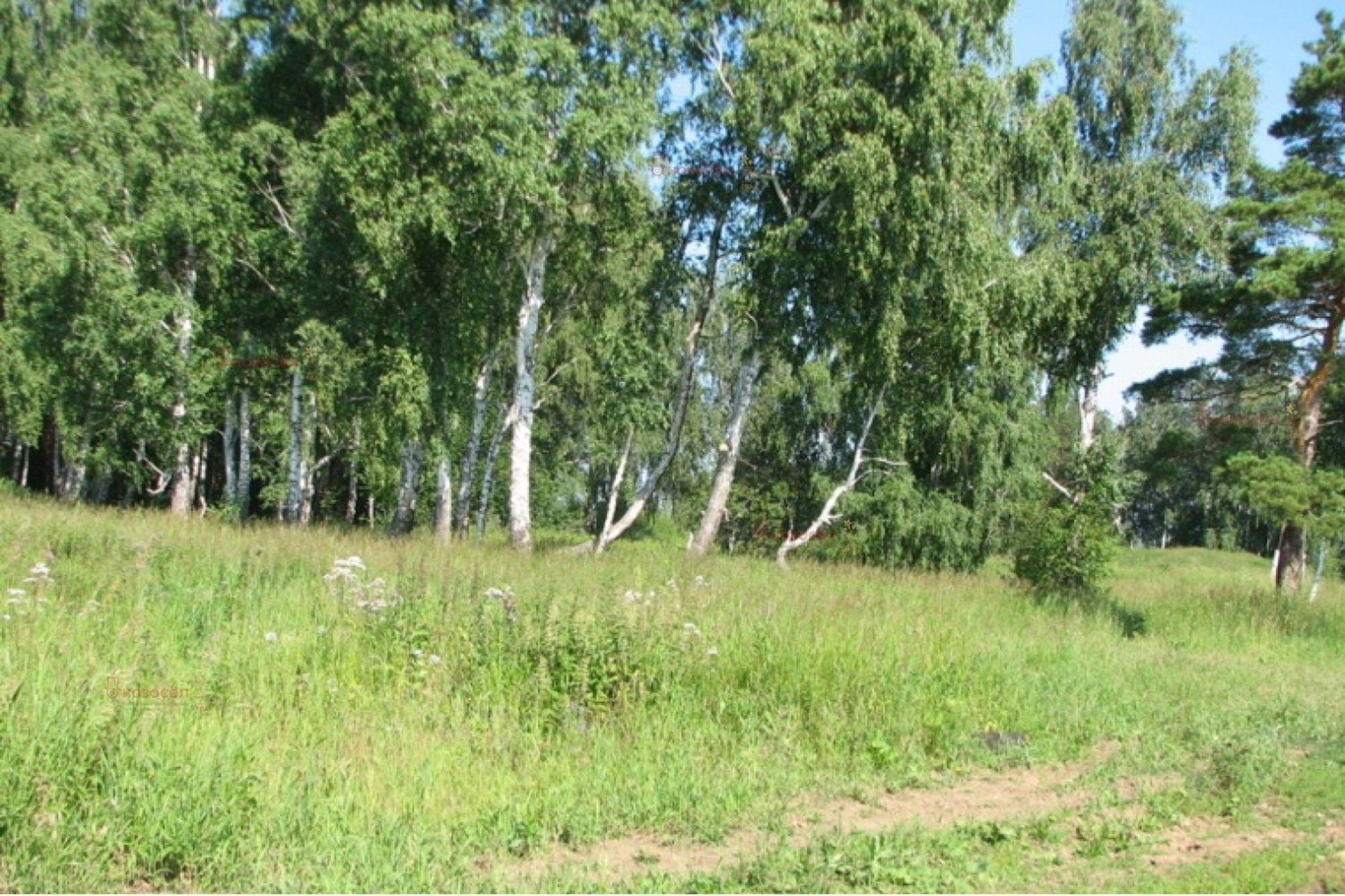 Купить землю, земельный участок за 380 000 рублей на Ленина