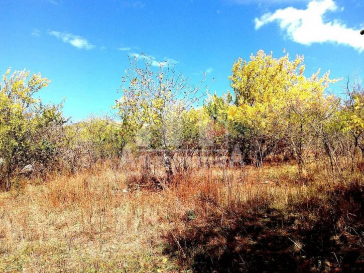 Земельный участок с/т Подснежник