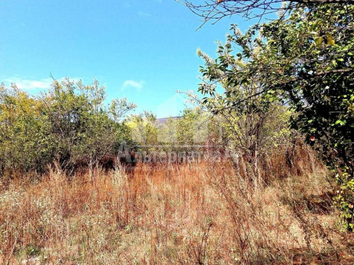 Земельный участок с/т Подснежник