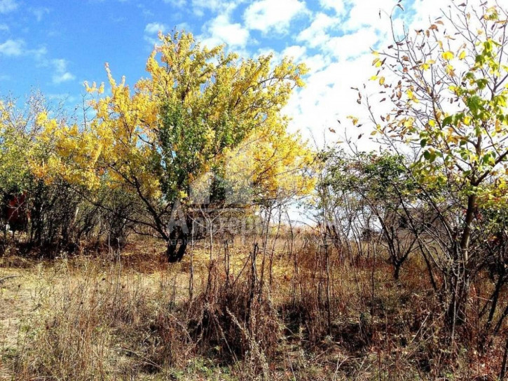 Земельный участок с/т Подснежник
