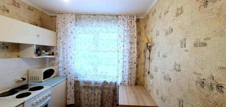 1-комн квартира Красный проспект, 171/1