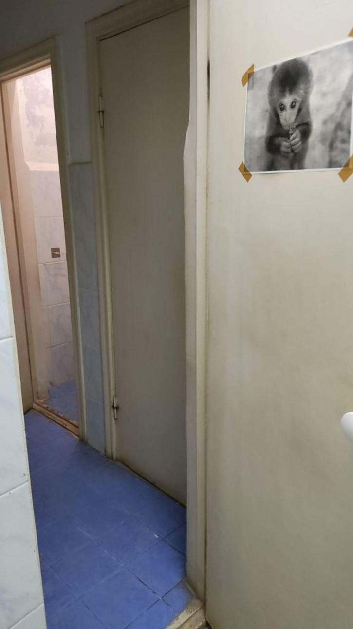 Помещение свободного назначения Гастелло ул, 19б