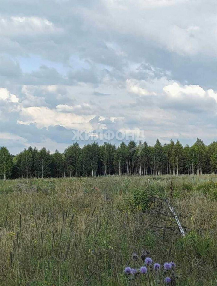 Земельный участок Пушкина ул. Земельный участок Пушкина ул.