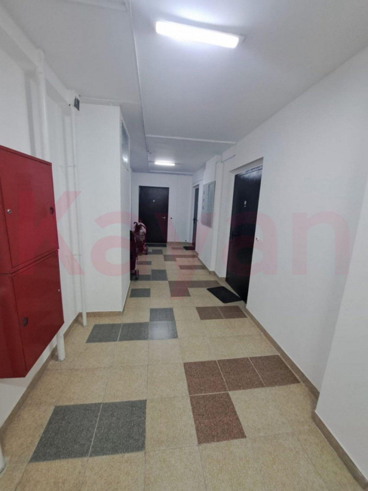 Студия Удалова ул.