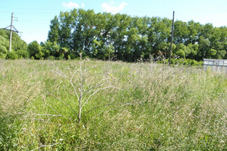 Земельный участок Южная 26 Земельный участок Южная 26