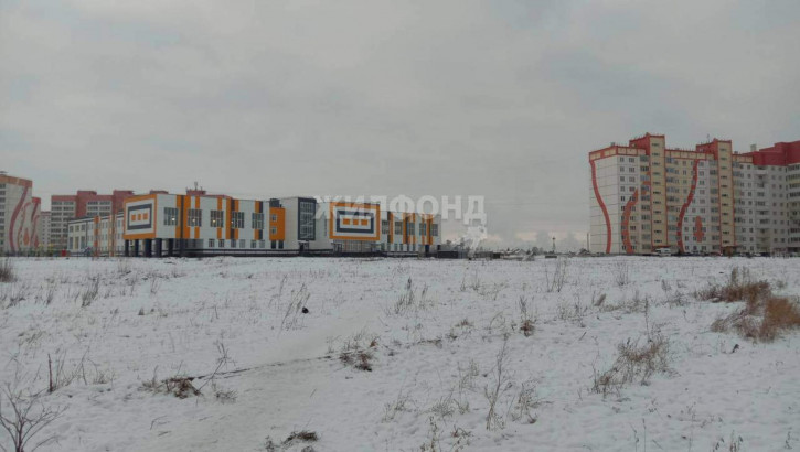 Студия Дмитрия Шмонина улица, д.6