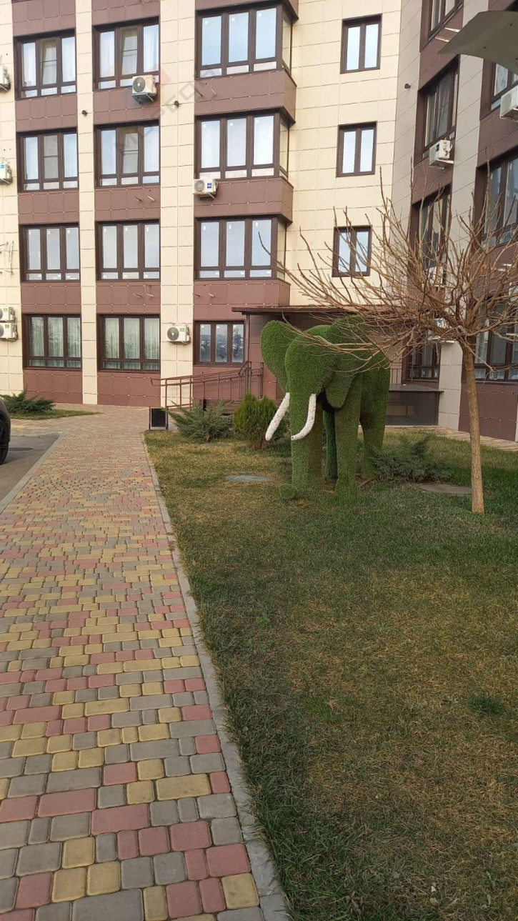 2-комн квартира Песочная ул, 1к1