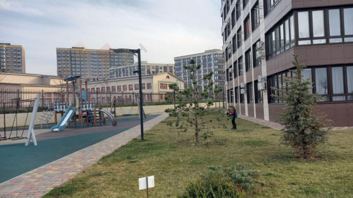 2-комн квартира Песочная ул, 1к1