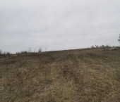 земля 22.4 сот Гремячье земля 22.4 сот Гремячье