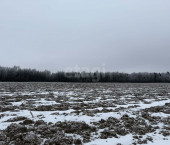 земля 18 сот деревня Гридино (Перцевский сельсовет), 9