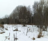 земля 11.89 сот садоводческое товарищество Костино-2, 29