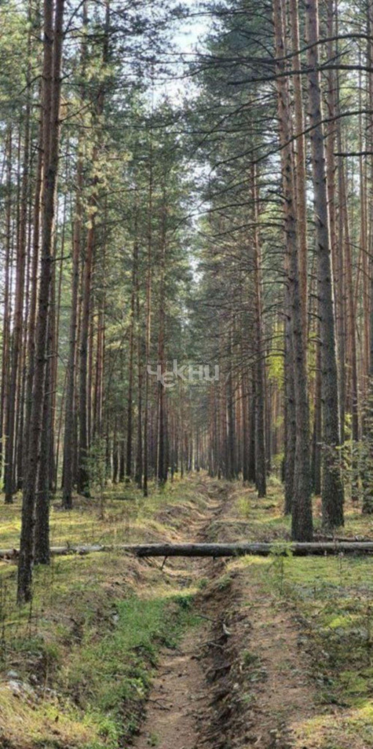 Земельный участок Центральная , 25