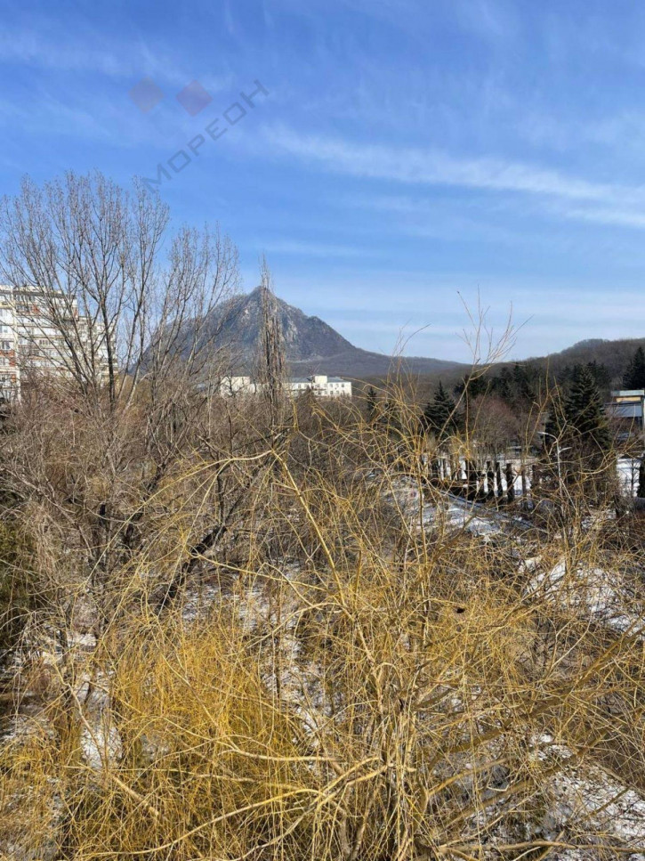 3-комн квартира Чапаева ул, 24