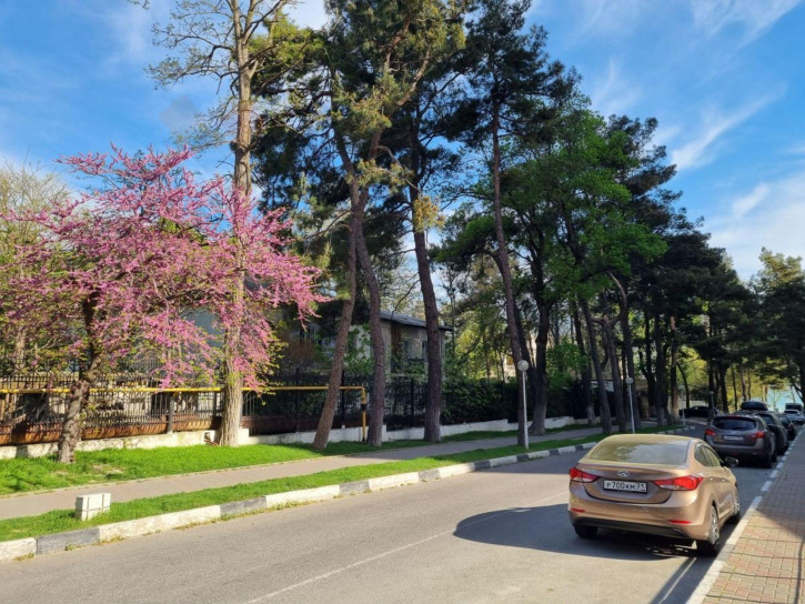 4-комн квартира Крымская ул, 4