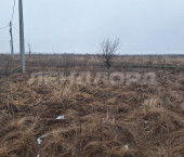 земля 6 сот улица Миронова