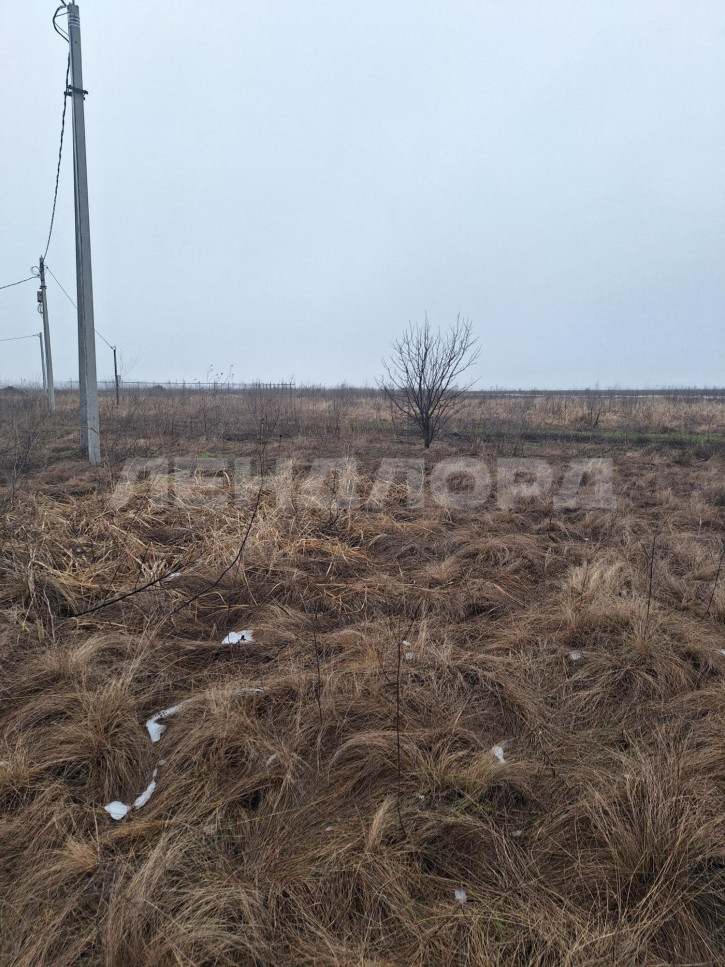 Земельный участок улица Миронова Земельный участок улица Миронова