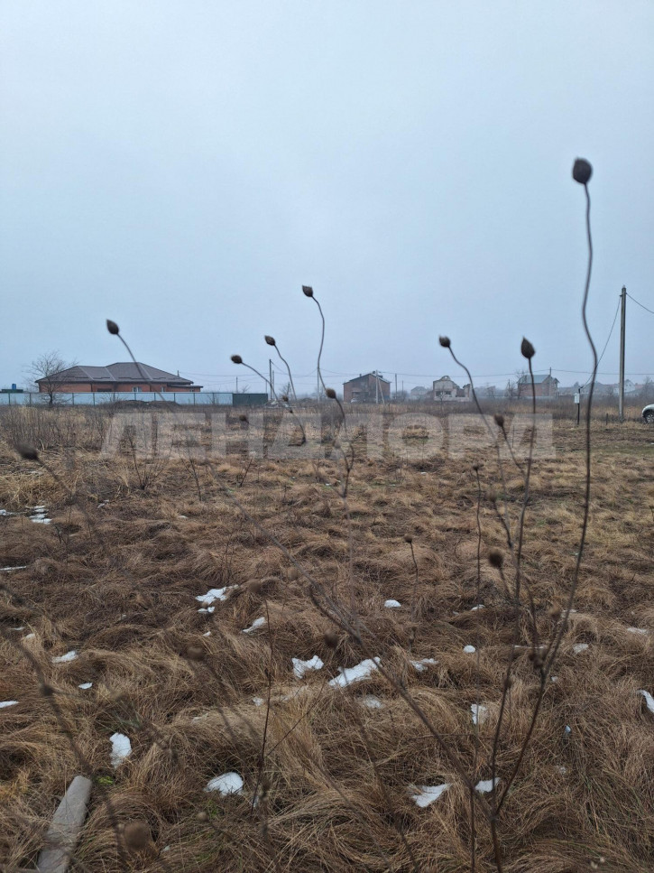 Земельный участок улица Миронова Земельный участок улица Миронова