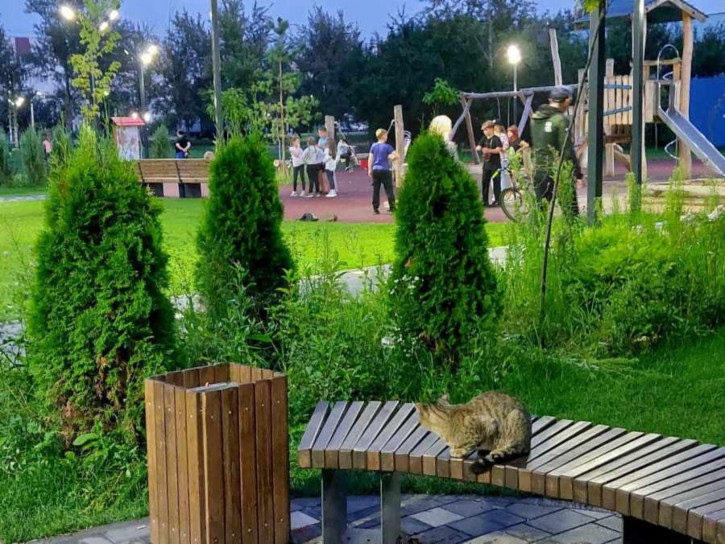 3-комн квартира Новая Усмань
