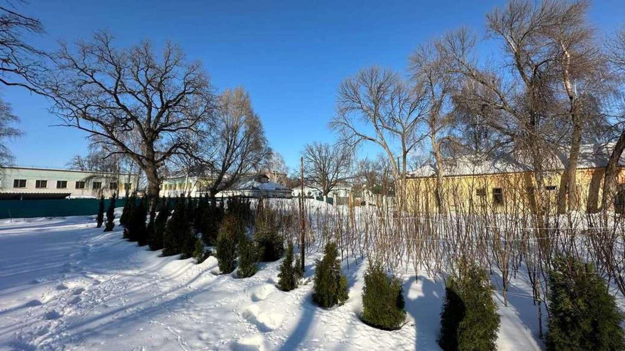 Сдать землю, земельный участок за 100 000 рублей на Дальняя улица, 7