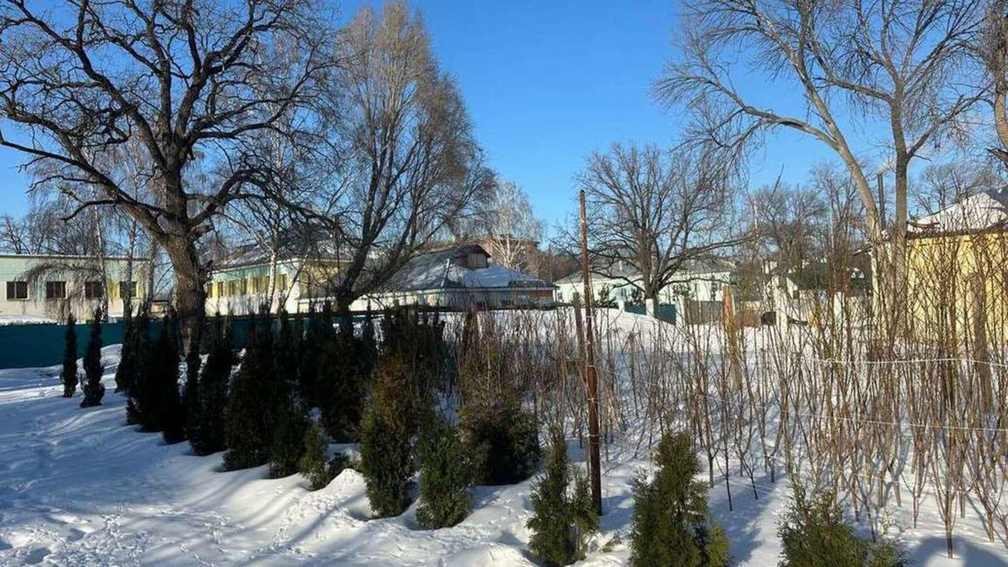 Сдать землю, земельный участок за 100 000 рублей на Дальняя улица, 7