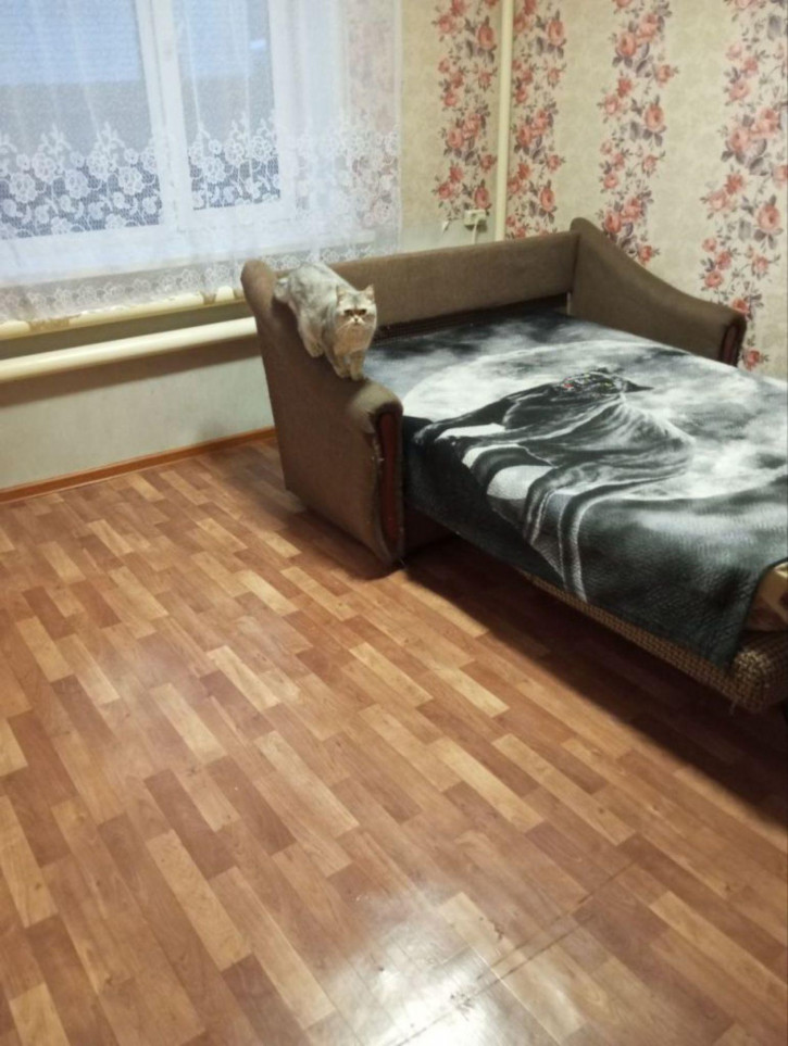 Коттедж/дом 30 лет ВЛКСМ, 2