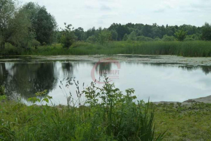 Земельный участок Ленина ул,, 50 Земельный участок Ленина ул,, 50