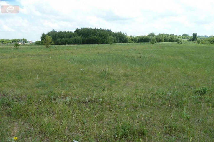 Земельный участок Луговая ул, Земельный участок Луговая ул,